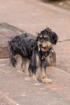 Ann-Sophie Funke 3 - RL TC an der Schirnau - SV Zehlendorfer Wespen : Ergebnis: 9:0